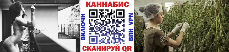Купить где  Берёзовка  Бошки марихуана THC 21% 